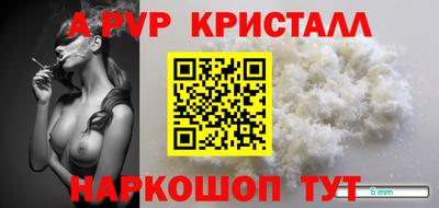 эйфоретик Донской